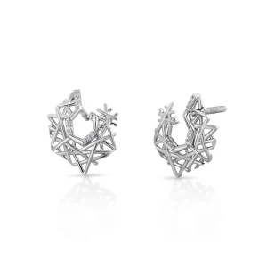 Flawless Platinum Earring for Women 20PTEEE12