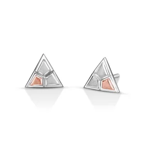 Flawless Platinum Earring for Women 20PTEEE13