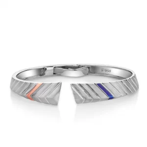 Stunning platinum bracelets for men 20PTMPPK08